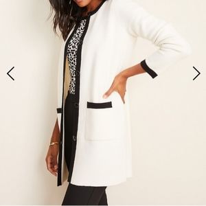 Ann Taylor luxious sweater
